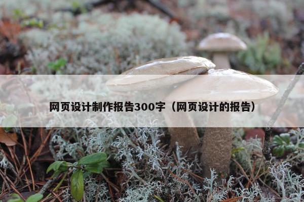 网页设计制作报告300字（网页设计的报告）
