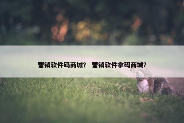 营销软件码商城？ 营销软件拿码商城？