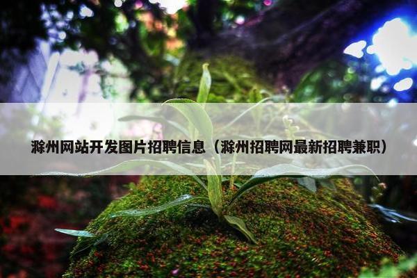 滁州网站开发图片招聘信息（滁州招聘网最新招聘兼职）