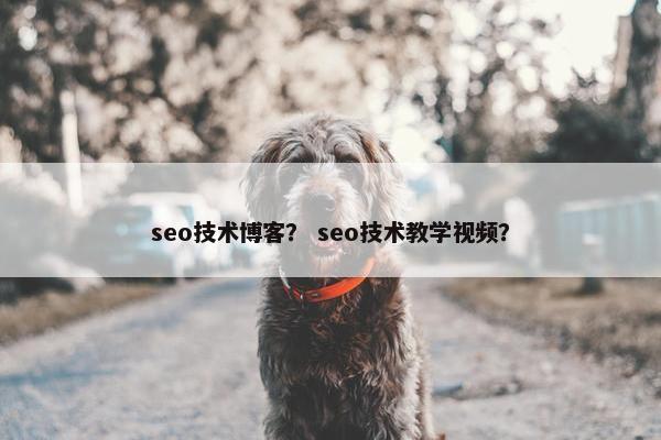 seo技术博客？ seo技术教学视频？