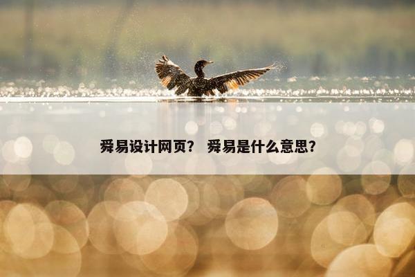 舜易设计网页？ 舜易是什么意思？