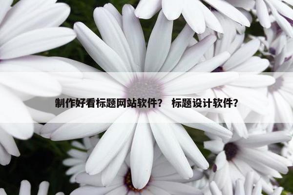 制作好看标题网站软件？ 标题设计软件？