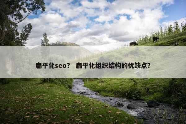 扁平化seo？ 扁平化组织结构的优缺点？