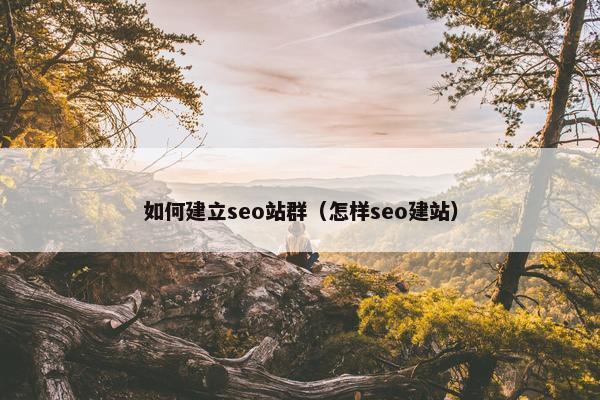 如何建立seo站群（怎样seo建站）