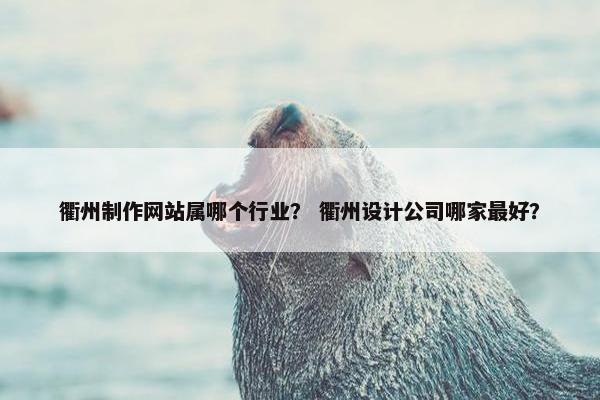 衢州制作网站属哪个行业？ 衢州设计公司哪家最好？