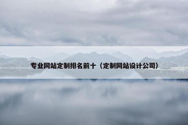 专业网站定制排名前十（定制网站设计公司）