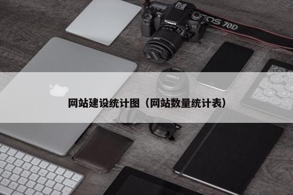 网站建设统计图（网站数量统计表）