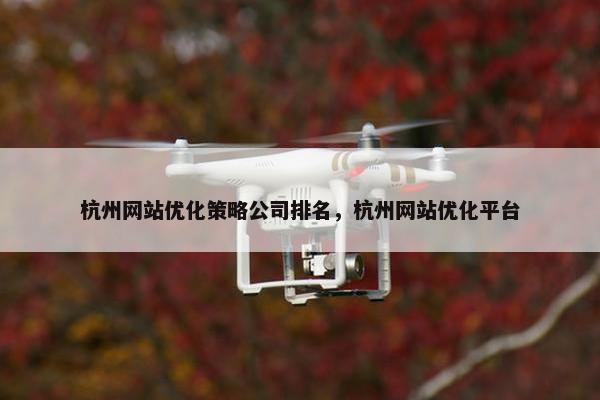杭州网站优化策略公司排名，杭州网站优化平台