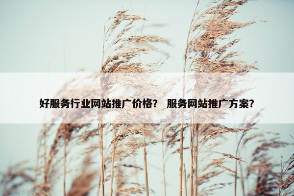 好服务行业网站推广价格？ 服务网站推广方案？