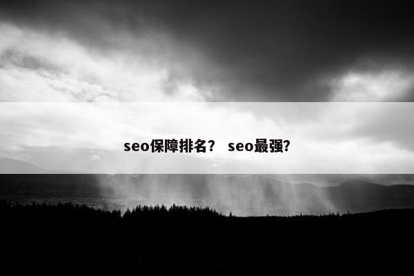 seo保障排名？ seo最强？