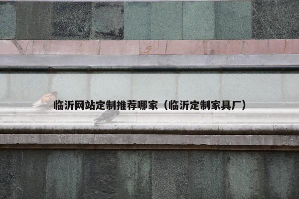 临沂网站定制推荐哪家（临沂定制家具厂）
