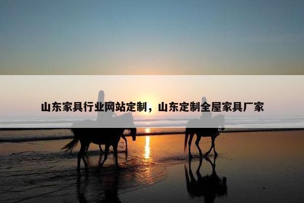 山东家具行业网站定制，山东定制全屋家具厂家