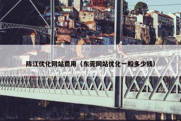 陈江优化网站费用（东莞网站优化一般多少钱）
