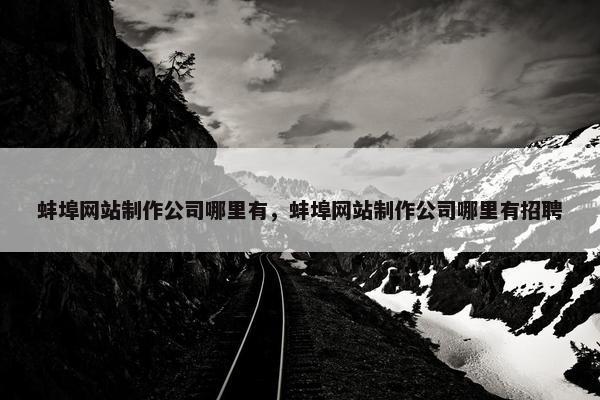 蚌埠网站制作公司哪里有，蚌埠网站制作公司哪里有招聘