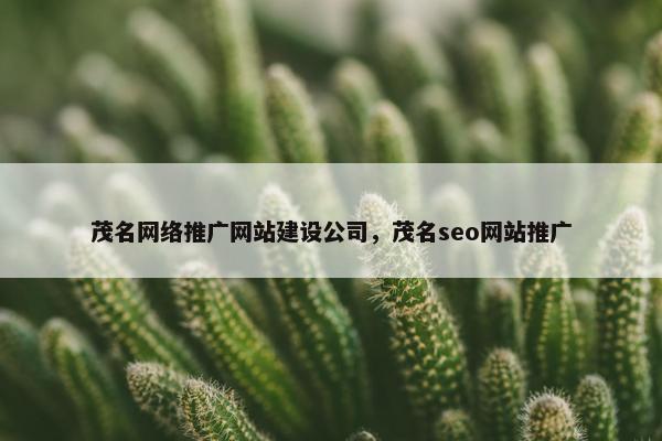 茂名网络推广网站建设公司，茂名seo网站推广