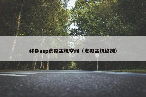 终身asp虚拟主机空间（虚拟主机终端）