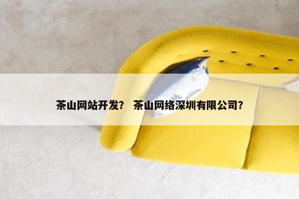 茶山网站开发？ 茶山网络深圳有限公司？