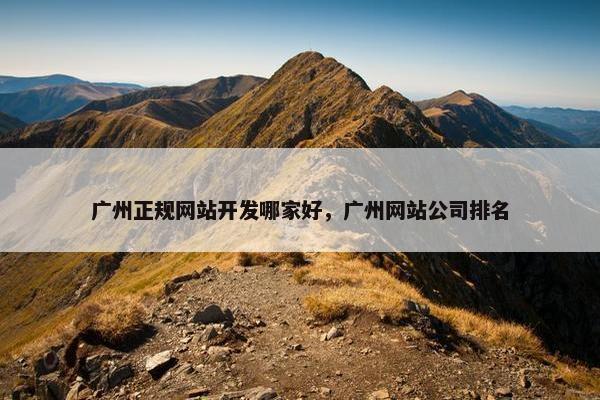 广州正规网站开发哪家好，广州网站公司排名