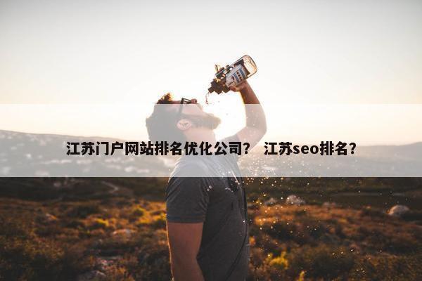 江苏门户网站排名优化公司？ 江苏seo排名？