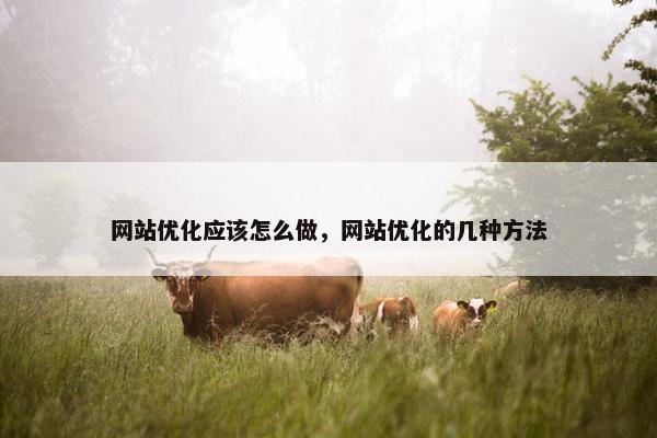 网站优化应该怎么做，网站优化的几种方法