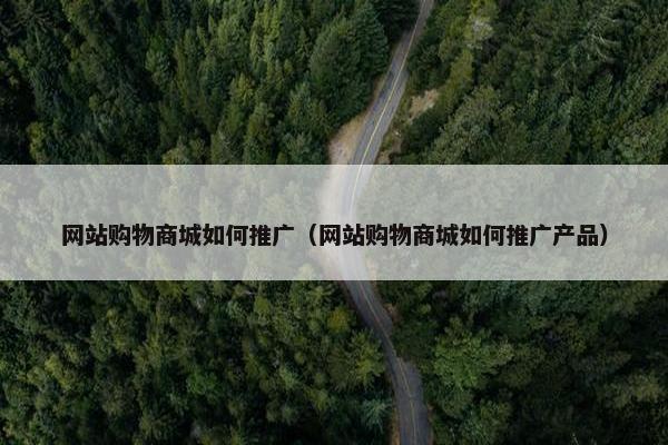 网站购物商城如何推广（网站购物商城如何推广产品）
