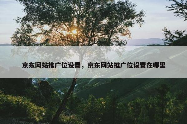 京东网站推广位设置，京东网站推广位设置在哪里