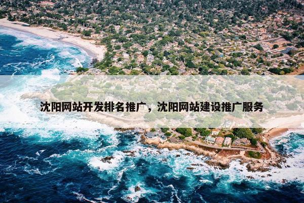 沈阳网站开发排名推广，沈阳网站建设推广服务