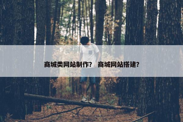 商城类网站制作？ 商城网站搭建？