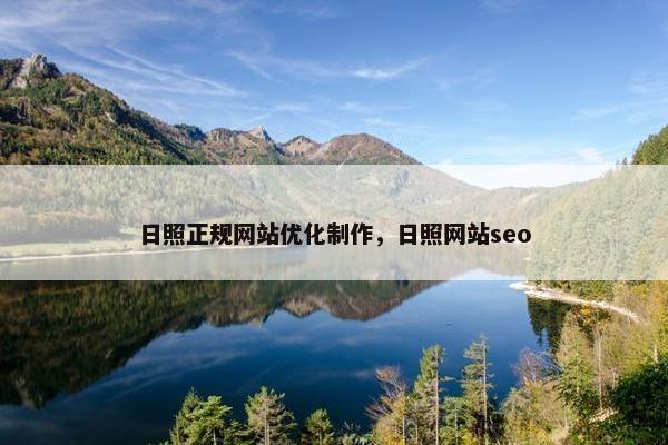 日照正规网站优化制作，日照网站seo