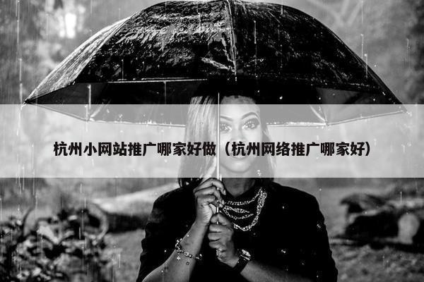 杭州小网站推广哪家好做（杭州网络推广哪家好）