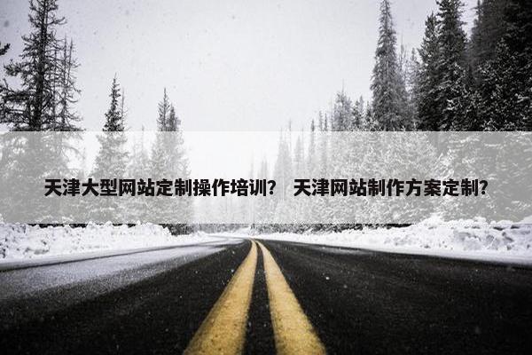天津大型网站定制操作培训？ 天津网站制作方案定制？