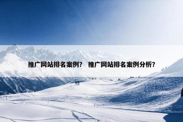 推广网站排名案例？ 推广网站排名案例分析？