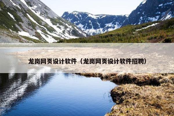 龙岗网页设计软件（龙岗网页设计软件招聘）