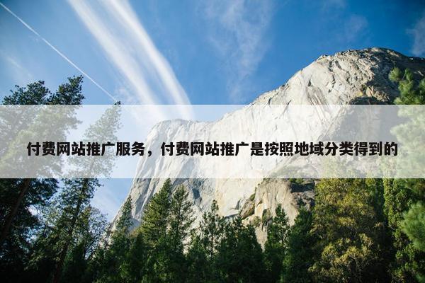 付费网站推广服务，付费网站推广是按照地域分类得到的