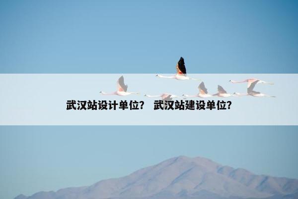 武汉站设计单位？ 武汉站建设单位？