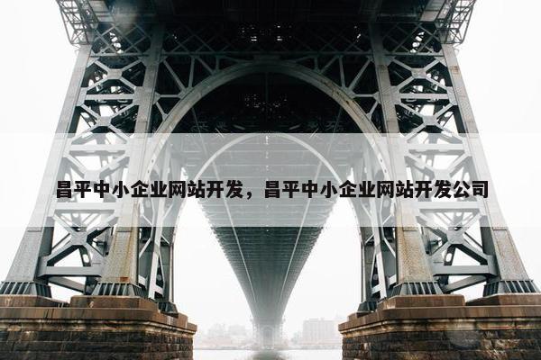 昌平中小企业网站开发，昌平中小企业网站开发公司