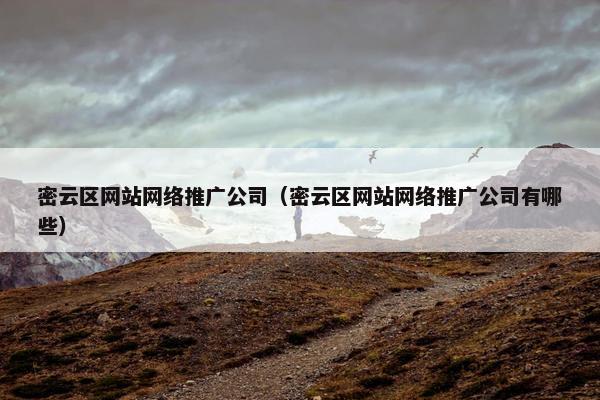 密云区网站网络推广公司（密云区网站网络推广公司有哪些）