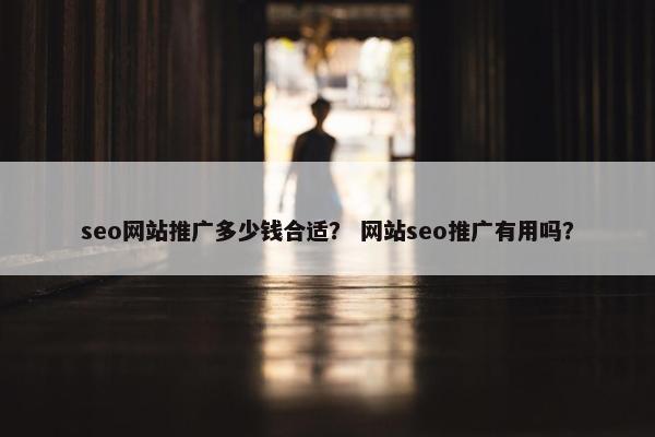 seo网站推广多少钱合适？ 网站seo推广有用吗？
