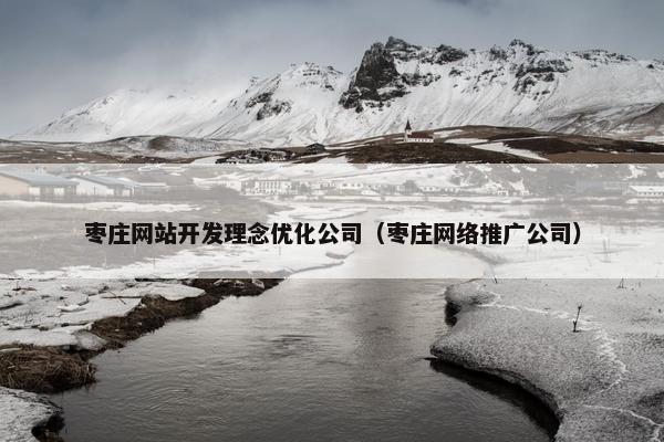 枣庄网站开发理念优化公司（枣庄网络推广公司）