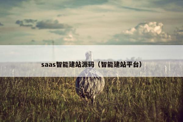 saas智能建站源码（智能建站平台）