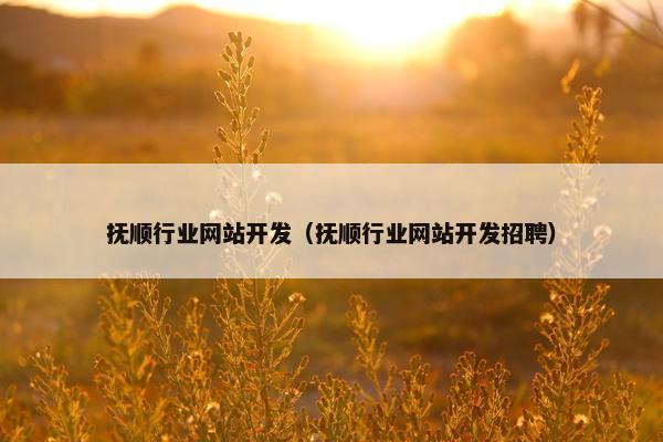 抚顺行业网站开发（抚顺行业网站开发招聘）
